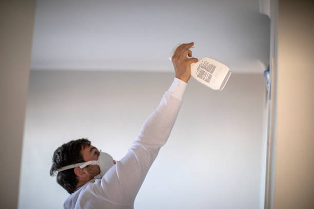 Best Crawl Space Mold Removal  in Terry, MS