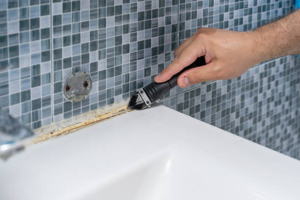 Best Best Mold Removal Companies  in Terry, MS