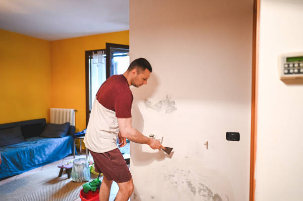 Best Fast Mold Removal  in Terry, MS