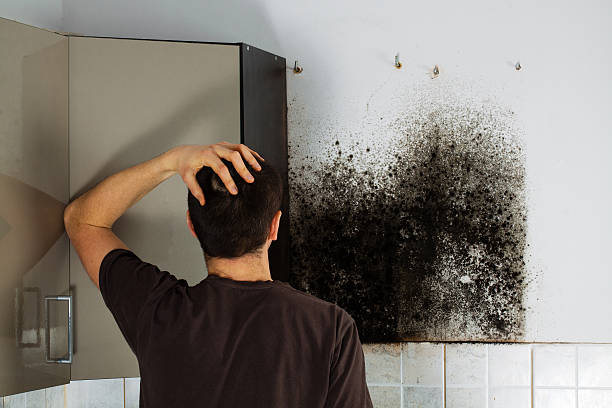 Water Damage Restoration in Terry, MS